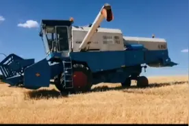 怀念北大荒精典康拜因东德E512联合收割机@DOU+小助手视频封面