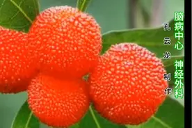 杨梅里的“小白虫”吃多了，危害有多大，你知道吗？视频封面