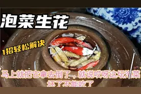 泡菜生花放白酒都不管用，川妹子教你1个简单的小方法轻松解决！视频封面