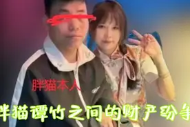 谭竹胖猫财产纷争升级，呼吁理性，静候警方调查结果。视频封面