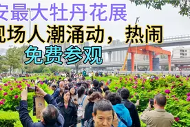 西安最大牡丹展，现场很火爆，到处都是人，免费参观。视频封面