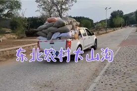 田间地头不起眼的“杨铁叶子”，是纯野生药材？这一大车发财了视频封面