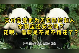 支付宝变更为无实际控制人，余额宝、花呗还安全吗？视频封面