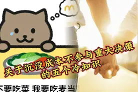 无限冷知识（七）“胖猫”事件中你必须知道的5个冷知识#胖猫视频封面