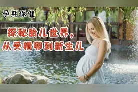 探秘胎儿世界，从受精卵到新生儿