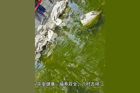 农历七月二十一是地藏王菩萨生日祝大家六时吉祥视频封面