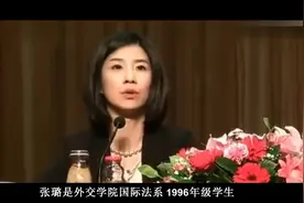 中国外交翻译的“门面担当”翻译女神张璐如何成为总理的御用翻译