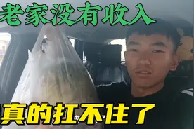 在老家没有收入来源，一人要养活一家四口，我真的顶不住了视频封面