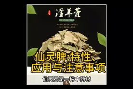 仙灵脾:特性、应用与注意事项