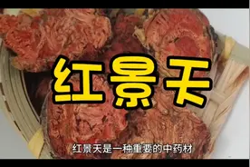 红景天的药理作用