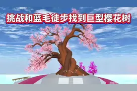 樱花校园模拟器:挑战和蓝毛徒步找到巨型樱花树！