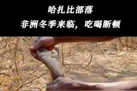 非洲哈扎比部落生活#野外生存 #原始部落 #大自然的生存视频封面