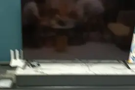 康佳电视开关机视频封面