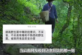 云南人采菌靠政府通知？中毒短信成信号，中毒风险图成采菌热点图视频封面