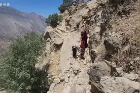 行走在悬崖峭壁上的母子四人，为了去河里捕鱼，拼尽了全力。视频封面