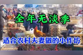 投资不到1万元，夫妻2人就能干，这暴利小生意，销路好、利润大视频封面