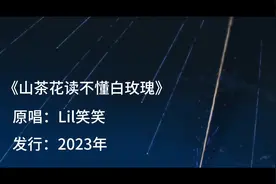 《山茶花读不懂白玫瑰》完整版