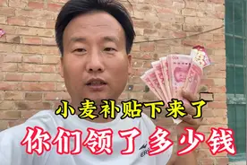 2024年的小麦补贴下来了，看一口人能领多少钱。有你们那边的多吗视频封面
