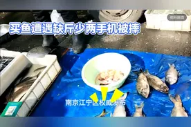 南京江宁区权威发布：针对“买鱼遭遇缺斤少两，手机被摔”事件的视频封面