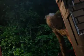 2024最新丧尸片，一种诡异的孢子病毒让人变成恐怖丧尸 #丧尸＃