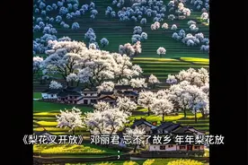 歌曲《梨花又开放》   邓丽君视频封面