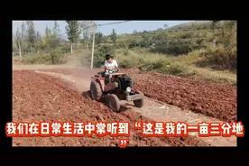 为什么是“一亩三分地”呢？