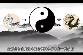 左青龙右白虎怎么定位视频封面