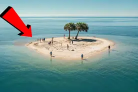 在海上遇难的人们   极端条件下奇迹般生还的故事视频封面