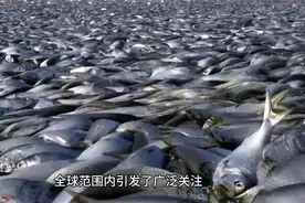 日本有可能停止核废水排放视频封面
