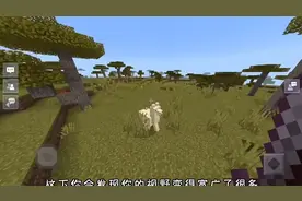 #我的世界 游戏主播同款设置