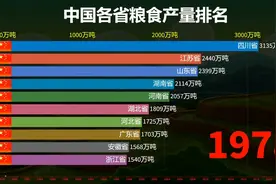 中国各省粮食产量排名！多年来究竟谁才是中国的产粮大省？视频封面
