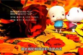 生肖猪最佳婚配属相视频封面