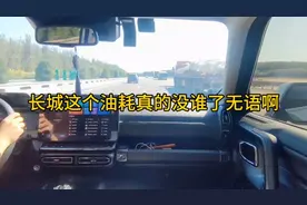 买车千万买长城，最好别买长城的混动车型，真的，买了你就后悔了视频封面