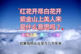红花开尽白花开
紫金山上美人来
是什么意思吗？视频封面