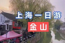 周末上海一日游之金山——东林寺、花开海上、枫泾古镇视频封面