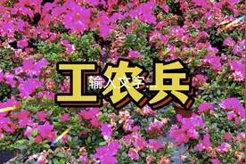 时代记忆：工农兵。