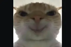 地铁老鼠表情包大全视频封面