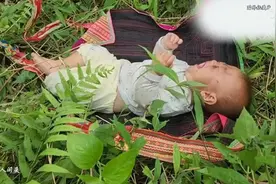 越南小男孩，太好了，小天妈妈终于找到了孩子视频封面