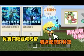 我的世界免费4D皮肤！