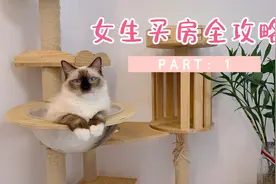 女生买房，装修全攻略！一定要拥有自己的避风港💗视频封面