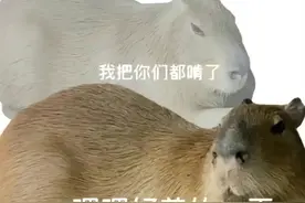 社恐人的日常 处处都是历险记视频封面