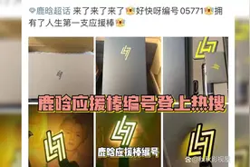 鹿晗应援棒编号登上热搜