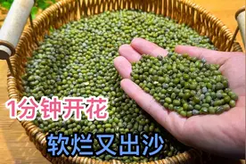 不管煮绿豆还是红豆，煮前多加一步，1分钟开花，全部都软烂出沙视频封面