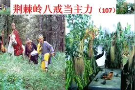 树木千年修行，博弈调琴讲道书。一念之差，身败名裂。