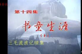 三毛考试取得第一名，金家为了蒙混家访竟然让三毛假扮金宝。视频封面