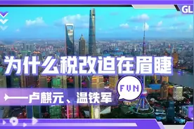为什么税改迫在眉睫！——卢麒元、温铁军。视频封面
