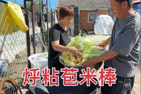 每天都挑出不少粘苞米，东北老爸让大家伙分，烀一大锅留着冬天吃视频封面