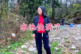 花一万多改造的老水池，山泉水快装满了，今天引去做施工用水。视频封面
