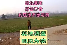 湖北襄阳说话口音跟河南南阳到底像不像，实地调查采访像不像