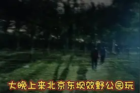 大晚上来北京东坝效野公园玩视频封面